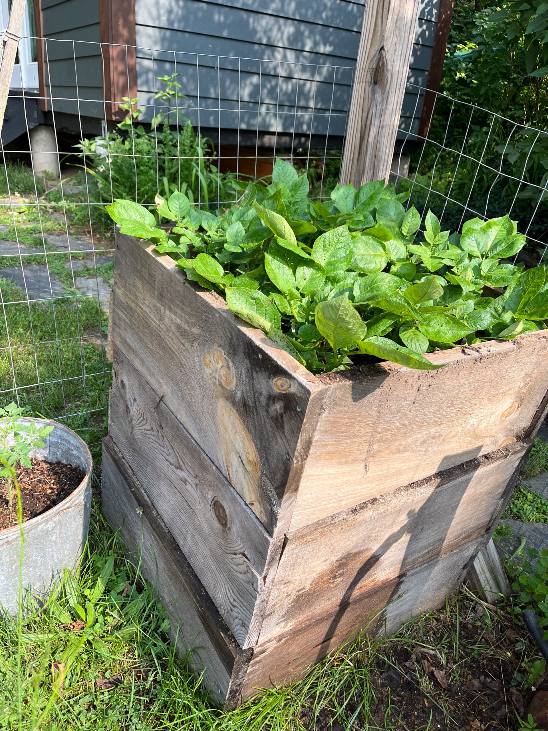 Vertical Potatoes