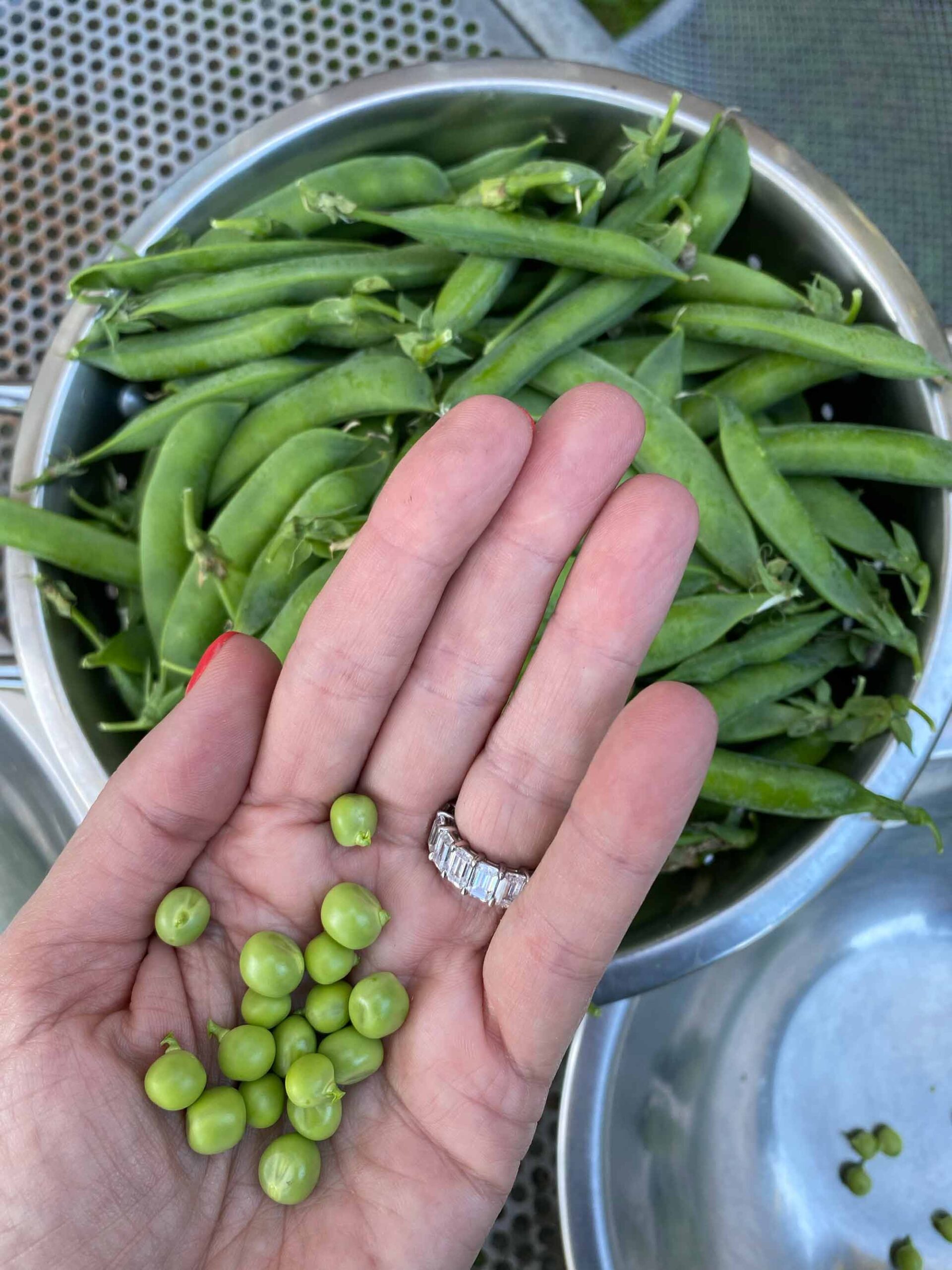 Glorious Peas