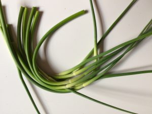 Garlic Scapes